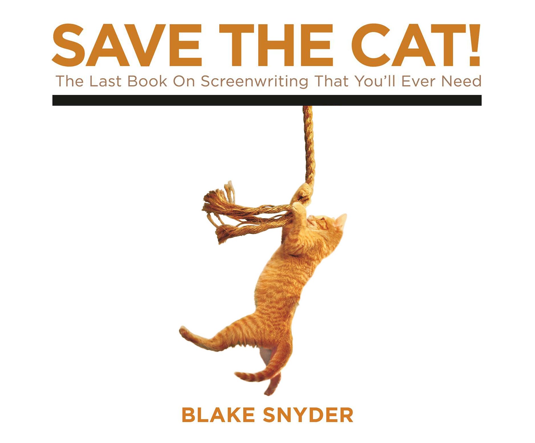 save the cat snyder save the cat snyder